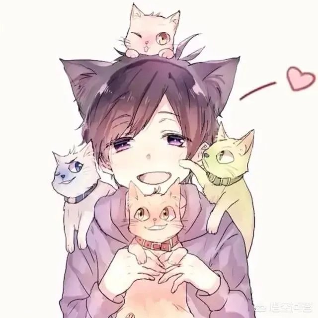 大家都用什么类型的微信头像?