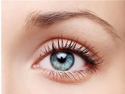 睫毛种植多少钱啊