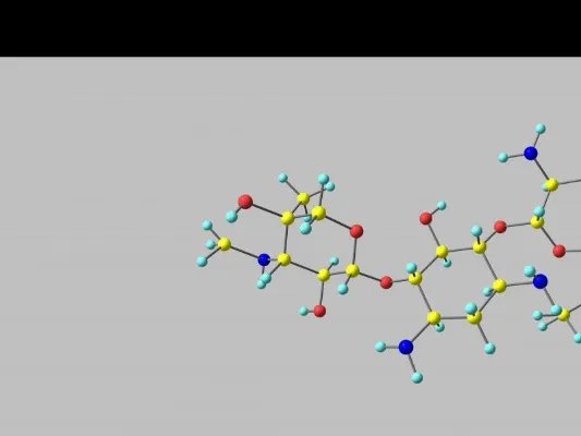耐万古霉素肠球菌的简单介绍