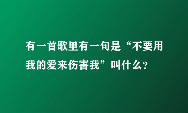 有一首歌里有一句是“不要用我的爱来伤害我”叫什么？
