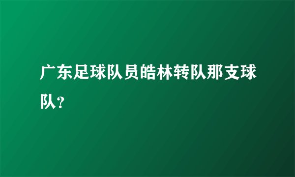 广东足球队员皓林转队那支球队？