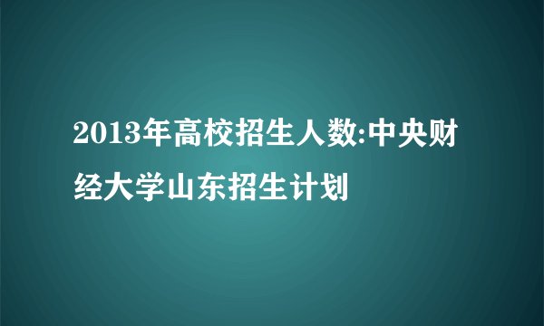 2013年高校招生人数:中央财经大学山东招生计划