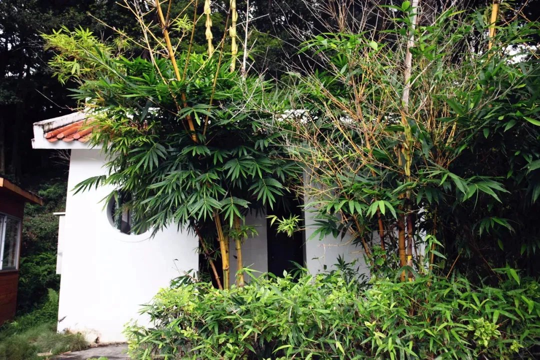 践行品牌使命，九牧推动古田“厕所革命”