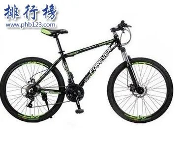 山地自行车十大品牌排行榜:凤凰、永安上榜 第4美国品牌