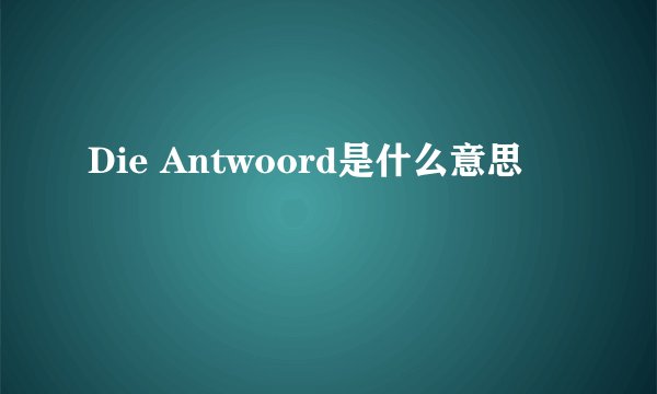 Die Antwoord是什么意思