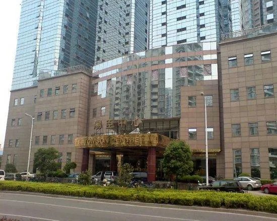 汤臣集团的集团现状