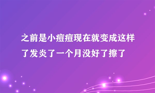 之前是小痘痘现在就变成这样了发炎了一个月没好了擦了