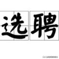 选聘什么意思？
