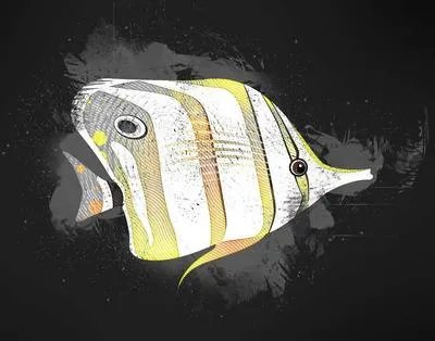 海水鱼白点病的治疗方法有哪些 如何预防海水鱼白点病