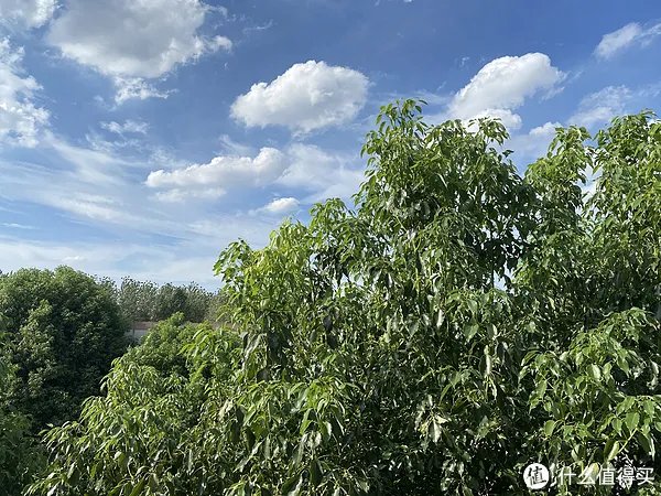 红米手机怎么样