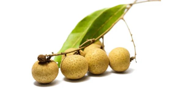 贫血吃什么食物