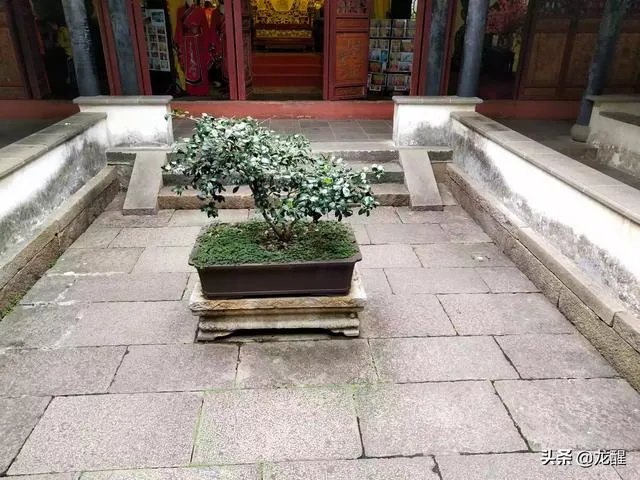 《海南自由贸易港建设总体方案》全文公布了，临近省份有何好处？