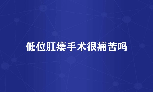 低位肛瘘手术很痛苦吗