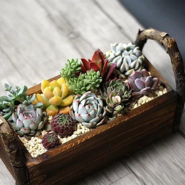 什么可以提高大学宿舍生活质量?