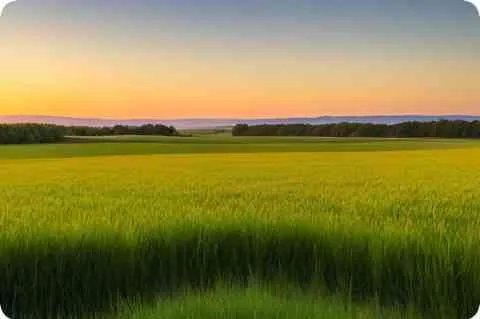 书剑情侠柳三变简介及详细资料