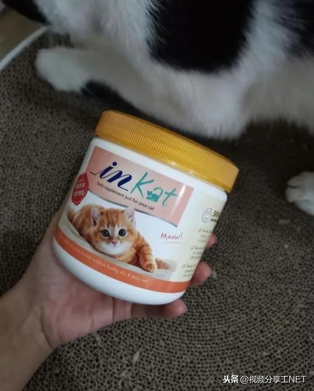 有没有比较好的猫粮推荐一下？