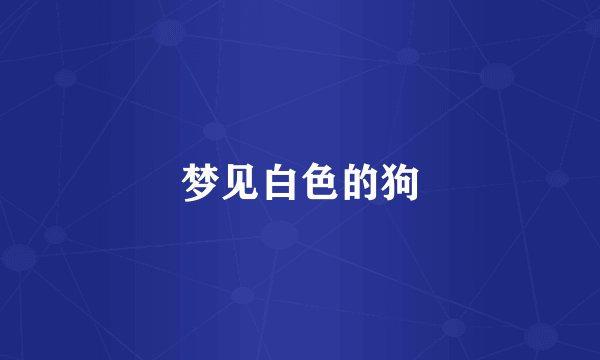 梦见白色的狗
