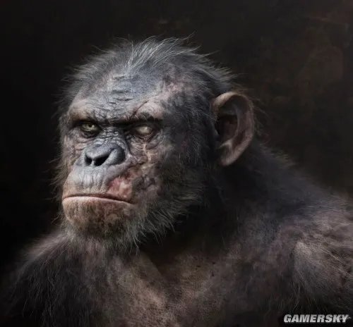 《猩球崛起:黎明之战》本月底国内上映 最新原画欣赏