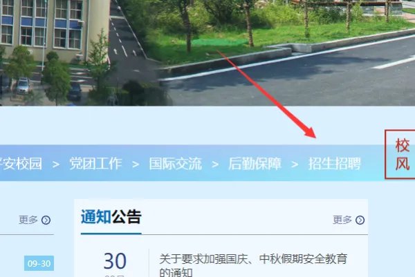 六安二中国际班录取名单