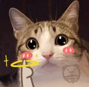 笑话大全爆笑图片