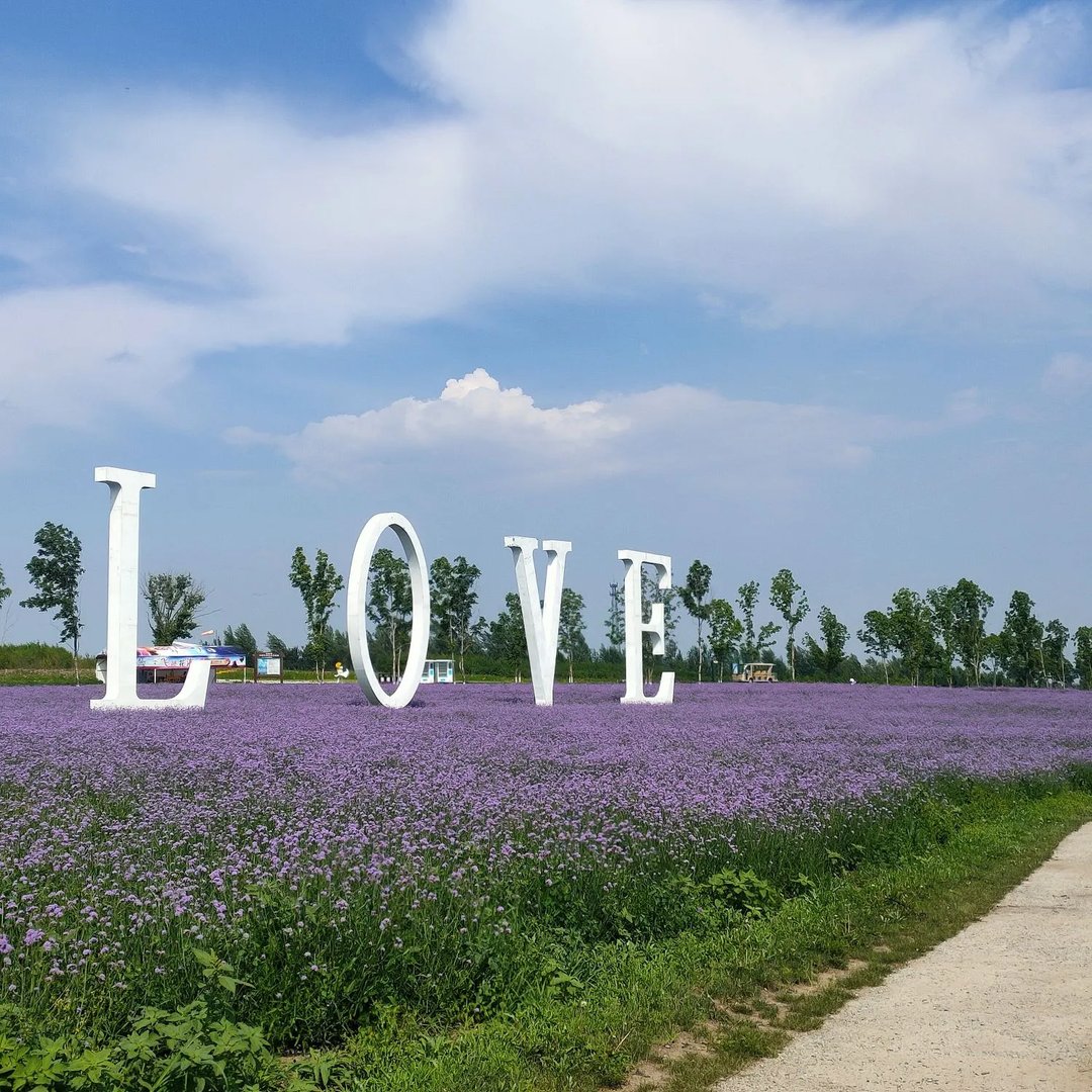 奔向美好吧–哈尔滨