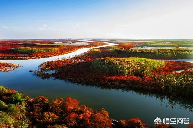 辽宁红海滩值得去吗?为什么海滩是红色的呢?