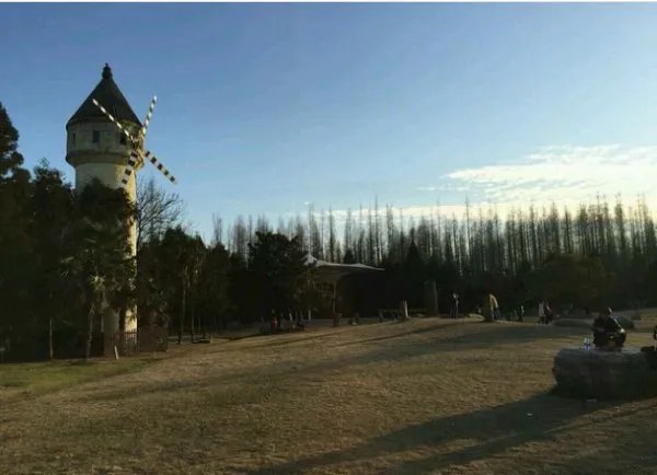 崇明岛有什么好玩的？