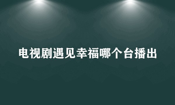 电视剧遇见幸福哪个台播出