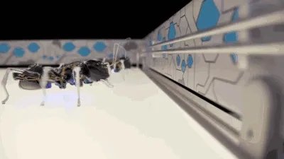 干掉人类的会是它们吗?2019全球最强9大超级仿生机械!