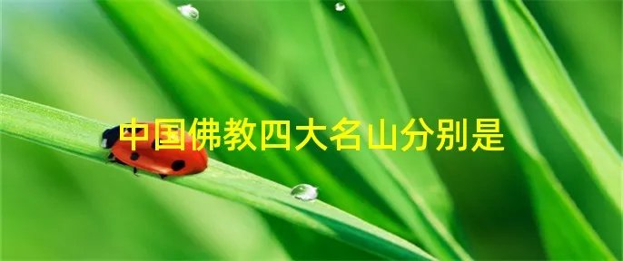 中国佛教四大名山分别是