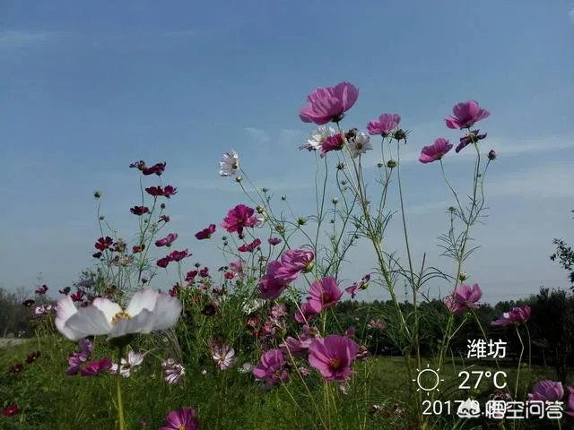 潍坊湿地公园在哪里？有多大？