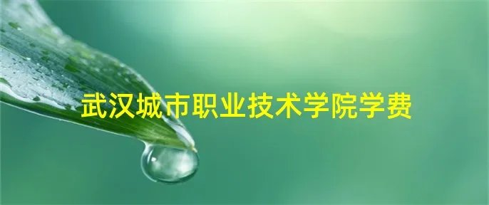 武汉城市职业技术学院学费