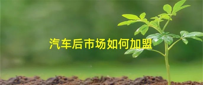 汽车后市场如何加盟
