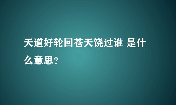 天道好轮回苍天饶过谁 是什么意思?
