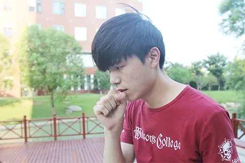 榛子的功效与作用