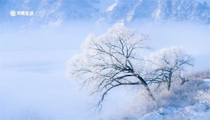 忽如一夜春风来意思