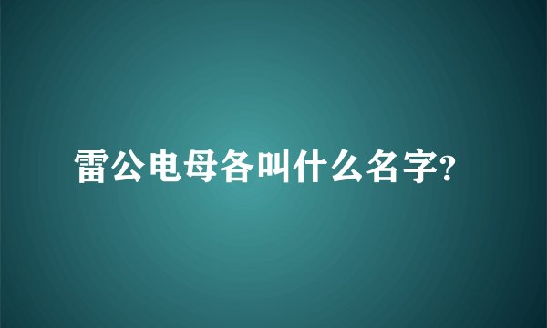 雷公电母各叫什么名字？