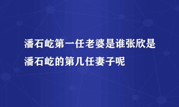 潘石屹第一任老婆是谁张欣是潘石屹的第几任妻子呢