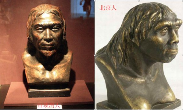 北京人和山顶洞人的区别