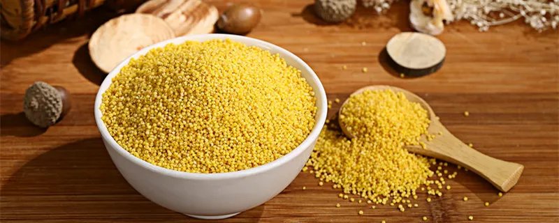 小米是什么农作物 小米是什么米