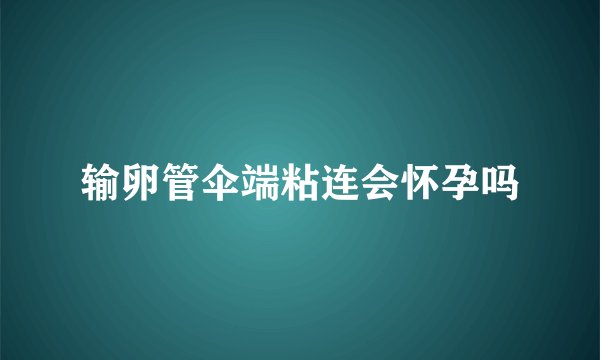 输卵管伞端粘连会怀孕吗