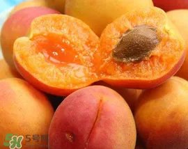 杏子几月成熟?杏子什么时候成熟?