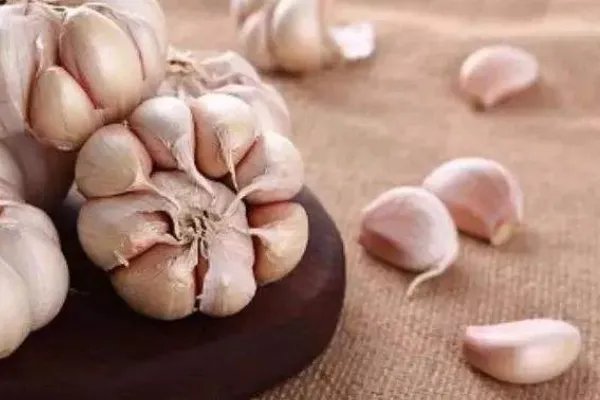 吃大蒜的好处
