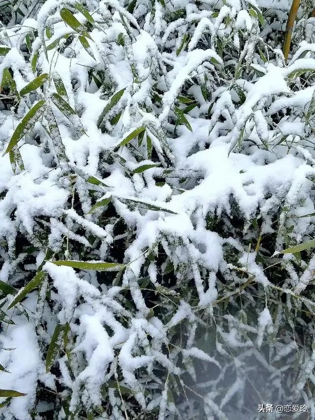 大家预测一下，美国新冠疫情什么时候结束？