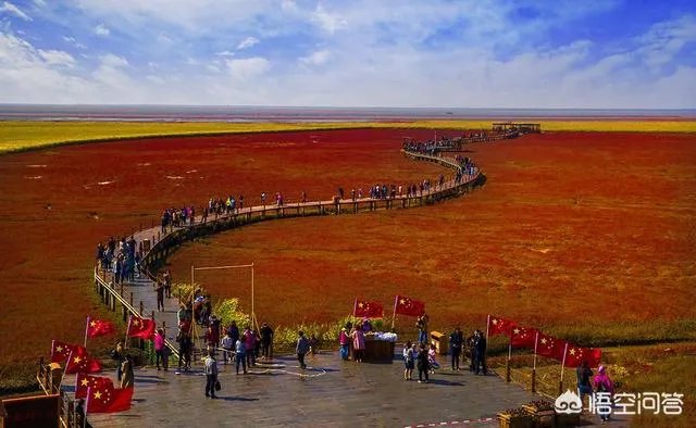 辽宁红海滩值得去吗?为什么海滩是红色的呢?