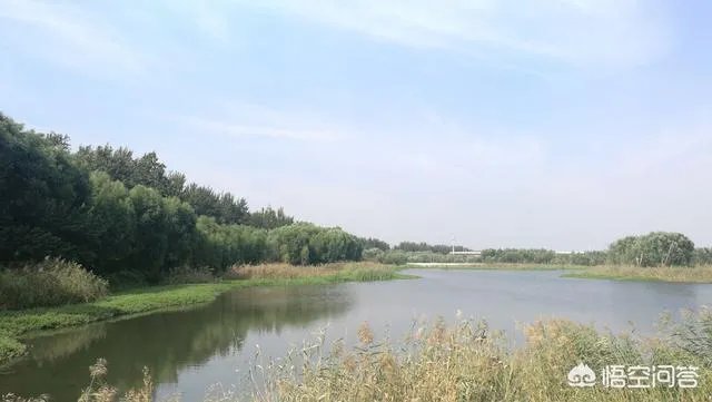 潍坊湿地公园在哪里？有多大？