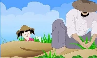 祖父的园子主要内容