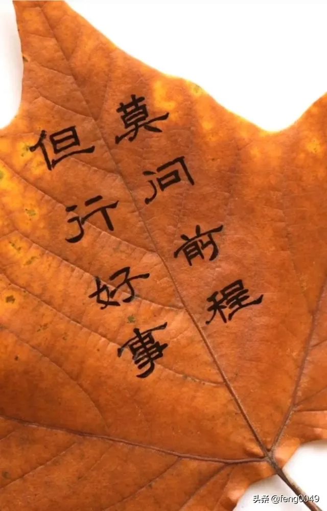 聊城市茌平县已更名为茌平区，山东告别“单区市”, 你怎么看？