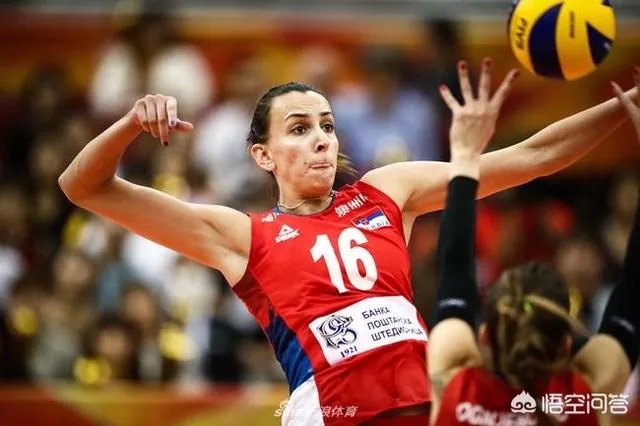 新浪评女排世锦赛最佳阵容,朱婷上榜意大利五人,你认为公不公平?