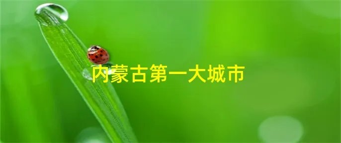 内蒙古第一大城市